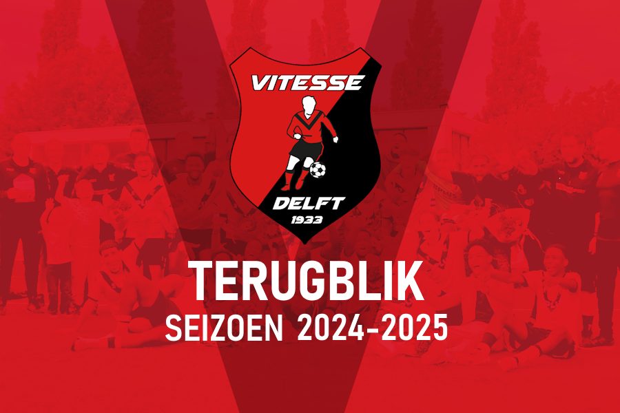 Terugblik op het seizoen 2024-2025 van Vitesse Delft 1